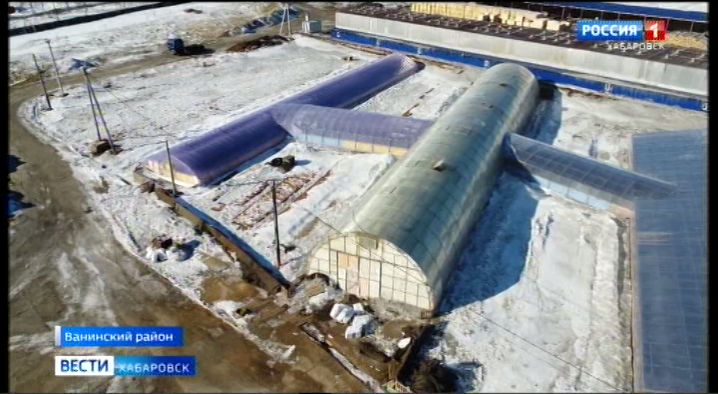 120 миллионов рублей инвестиций получил Ванинский тепличный комплекс
