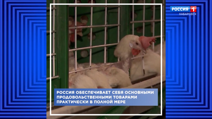 Дефицита не будет! Обеспечить Россию продовольствием поможет импорт из дружественных стран