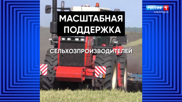 «Кредитные каникулы», мораторий на проверки бизнеса и сохранение человеческого капитала