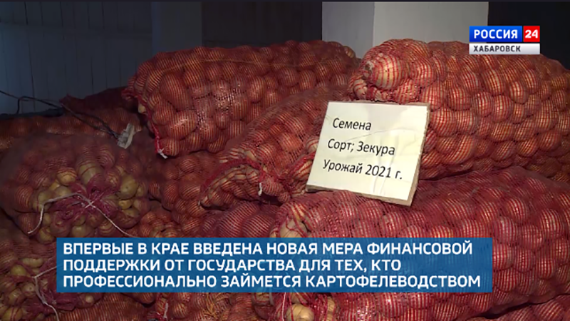 На посевную кампанию в Хабаровском крае выделят 100 миллионов рублей