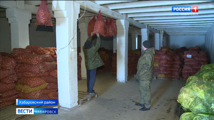 В Хабаровском крае впервые окажут финансовую помощь производителям картофеля