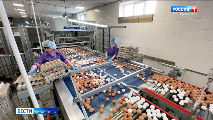Птицеводы Хабаровского района присоединились к нацпроекту «Производительность труда»