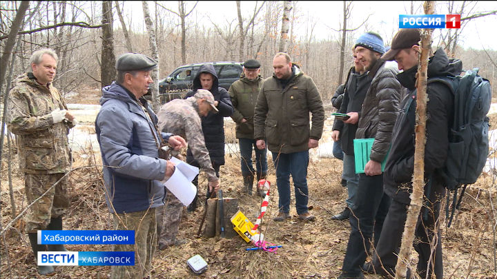К борьбе с «чёрными лесорубами» в Хабаровском крае подключат общественных инспекторов