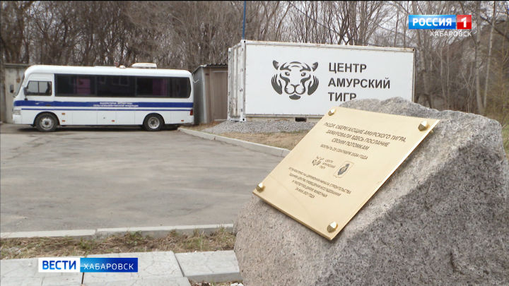 В Хабаровске появился Центр исследования и экспертизы диких животных