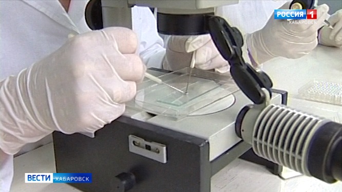 Первый случай нападения энцефалитного клеща на человека зафиксировали в Хабаровском крае