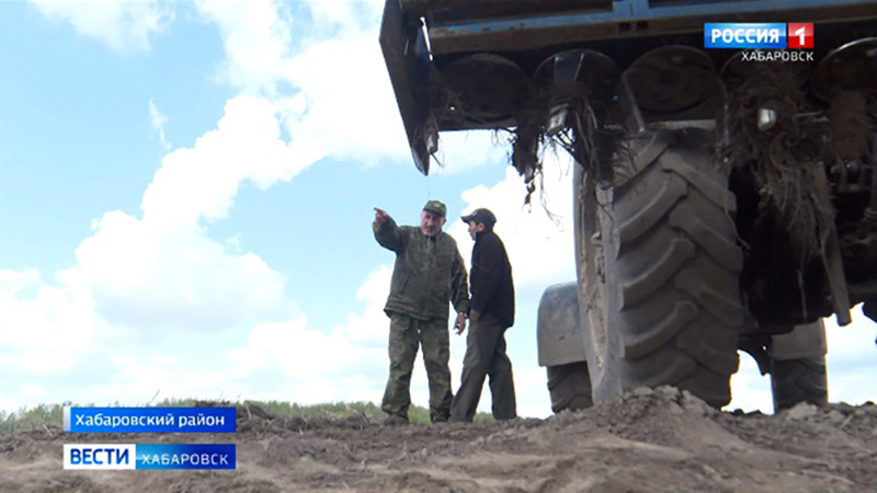 «Планируем собрать 25 тонн с гектара». Посевная картофеля началась в Хабаровском крае