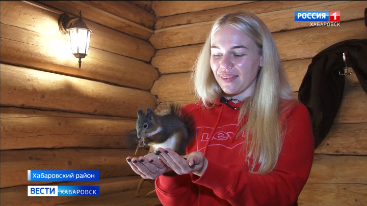 «Как ребёнок, только белка!». Пострадавшего от вырубок в дендрарии зверька спасли хабаровчане