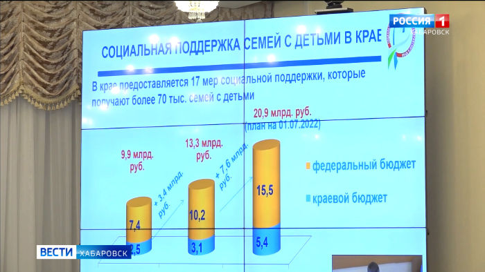 До 20 млрд рублей выделят на поддержку семей с детьми Хабаровского края