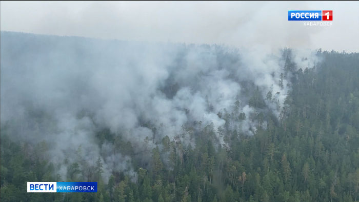 Минлесхоз Хабаровского края: В регионе хватает сил и средств для тушения пожаров