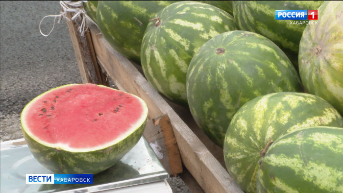 Когда высохнет хвостик: в Хабаровском крае начался арбузный сезон