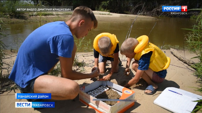 «Выпускной» для черепашек: школьники Хабаровского края построили дамбу для краснокнижных животных
