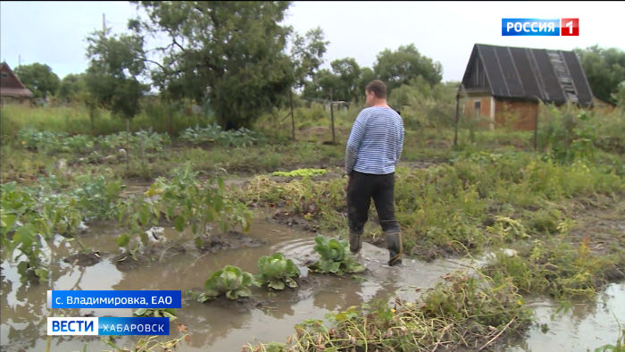 В Хабаровске сегодня ждут гребень амурского паводка