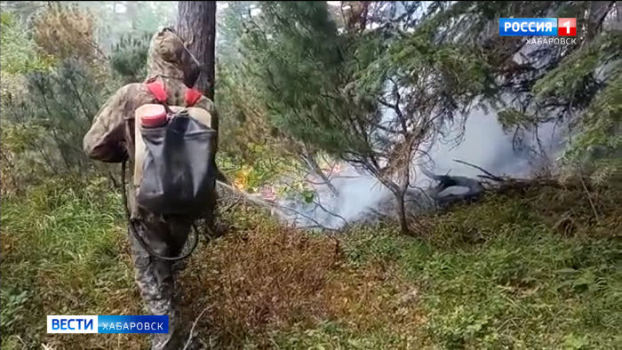 Рослесхоз: Все лесные пожары на Дальнем Востоке ликвидированы