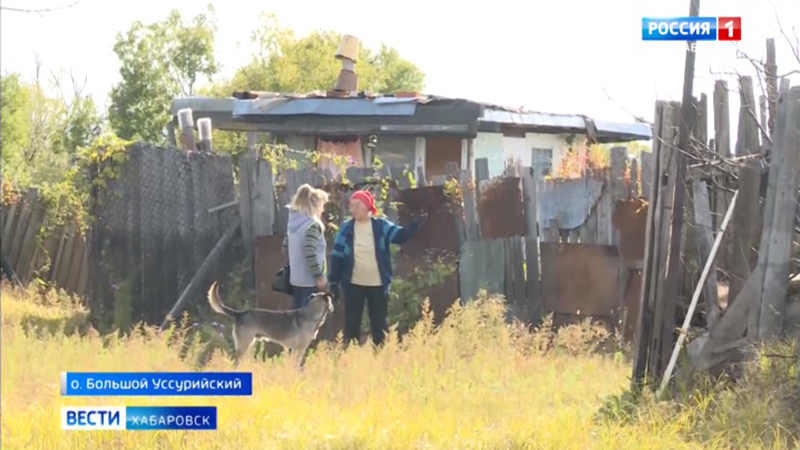Бурый мишка вышел к людям: дачники Большого Уссурийского просят охотоведов отловить хищника