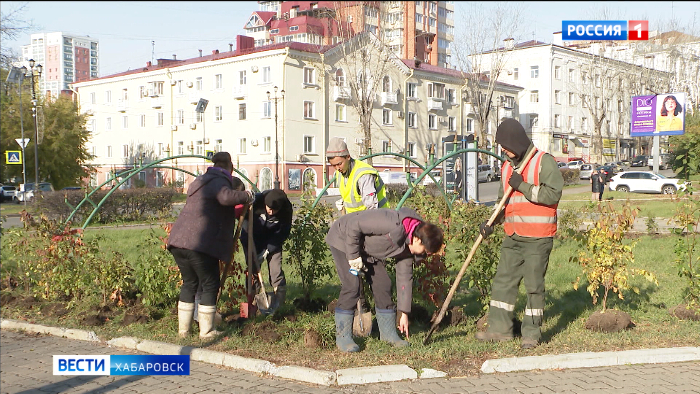 Розовый миндаль, гортензия и липы зацветут будущей весной на городских прудах Хабаровска