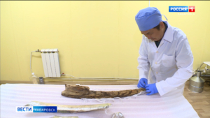 Кости мамонтов возрастом 12 тысяч лет исследуют в Хабаровске