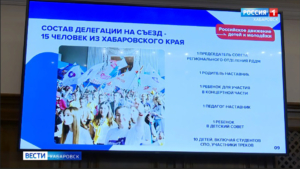 Молодёжь Хабаровского края представит в столице идеи по развитию нового Российского движения