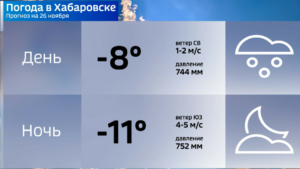 Зима вступает в права: после снегопада в Хабаровском крае прогнозируют резкое похолодание