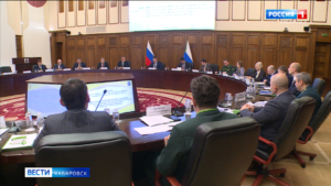 Рослесхоз и Минприроды поддержат создание новых зон активного тушения в Хабаровском крае