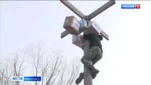 Смотрите в 21-05. В Хабаровске состоялись проводы зимы