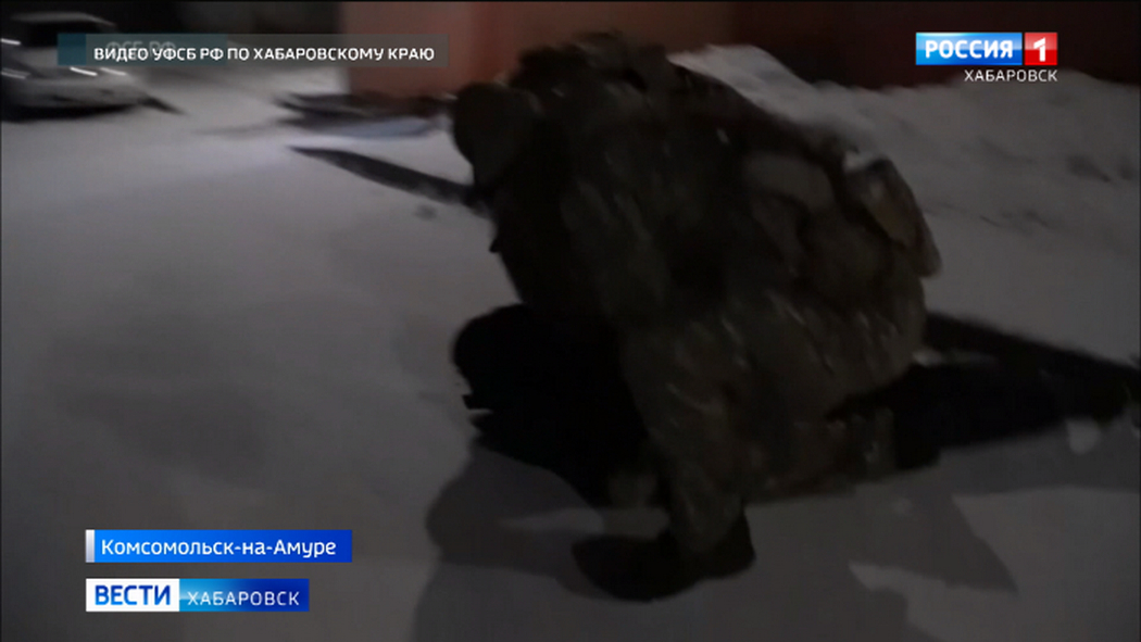 Жителя Комсомольска-на-Амуре задержали по подозрению в госизмене