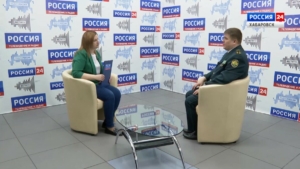 «Бизнес – динамичная структура и сам ищет пути поставок»: хабаровская таможня о параллельном импорте