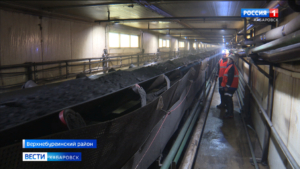 Рекордное в мире месторождение угля открыли в Верхнебуреинском районе края
