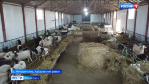 Программу льготной раздачи участков под импортозамещающие производства продлили в Хабаровском крае