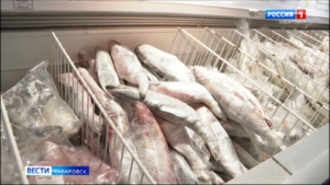 Смотрите в 21:05. Первая горбуша улова этого года появилась на прилавках Хабаровского края