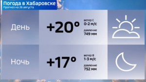 День Знаний в Хабаровске ожидается дождливым