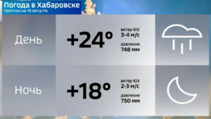 Не солнечно, но тепло: лето прощается с Хабаровском