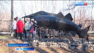 «Эту рыбу в крае уважают»: первый на Амуре памятник лососю установили в Комсомольске