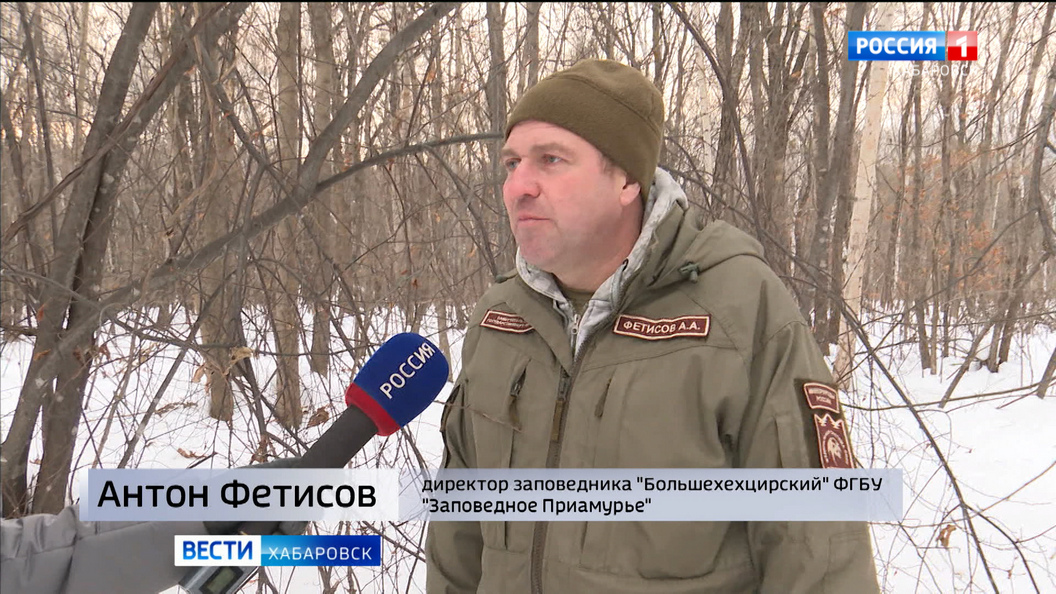 Куда пропали дети Златы: первые результаты переписи таёжных обитателей в Хабаровском крае