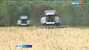Итоги посевной и уборочной кампании подвели в Хабаровском крае