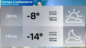 Снегопад вернётся в Хабаровск в конце следующей недели