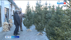 Смотрите в 21:09. Где купить красивую пушистую: ёлочные базары официально начали работу в Хабаровске