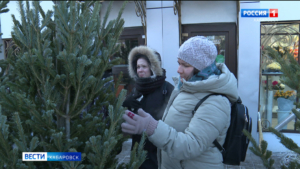 Приморские красавицы завоёвывают сердца хабаровчан: в столице края начали работу ёлочные базары