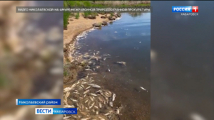 Факт загрязнения водных объектов в Николаевском районе зафиксирован природоохранной прокуратурой