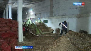 Посевную в Хабаровском крае планируется начать 20 апреля