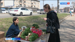 Витамин из леса: в Хабаровском крае начался сезон черемши