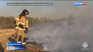 Сотрудники МЧС ликвидировали возгорание у села Голубичное Амурского района