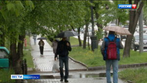 Температура опустится до нуля: майские заморозки ожидаются в Хабаровском крае