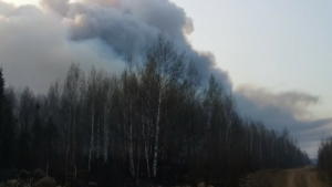 В Хабаровском крае потушены все лесные пожары – помогли осадки
