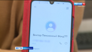 Двенадцать уголовных дел по статье «Мошенничество» открыто за минувшие сутки только в Хабаровске