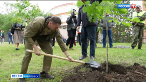 Дмитрий Демешин принял участие в массовой высадке деревьев в честь Дня России