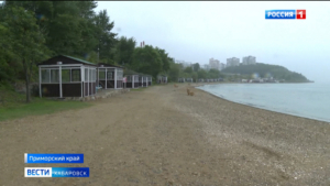 Первые хабаровчане отправились на побережье Японского моря