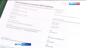 Хабаровскэнергосбыт объяснил ошибки в квитанциях за свет