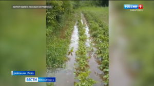 Уссури и её притоки подтопили некоторые участки и отрезки дорог в районе имени Лазо