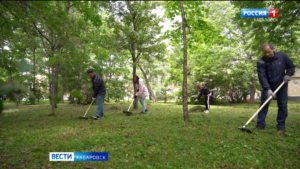 Хабаровские предприниматели помогли навести порядок на Уссурийском бульваре