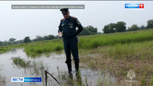 Первый пик паводка на Амуре ожидается 8 июля